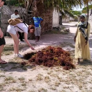  Spice Farm Walk