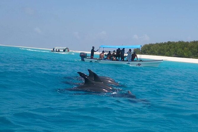  Snorkeling Experience