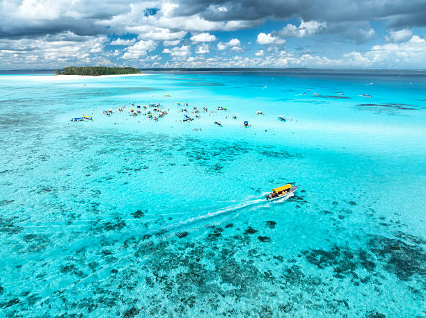  Marine Wildlife Spotting
