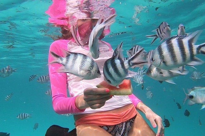  Crystal-Clear Ocean Waters