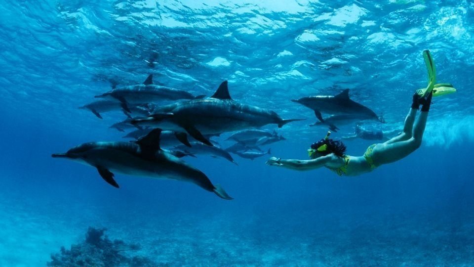  Vibrant Marine Ecosystem