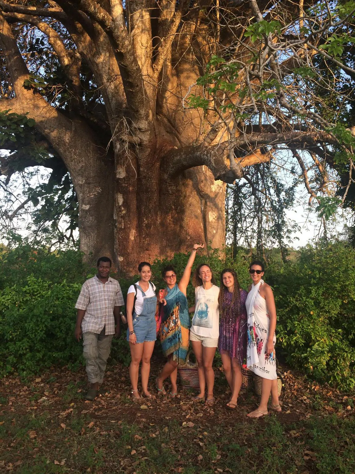  Majestic Baobab Tree Visit